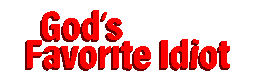 God's Favorite Idiot