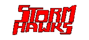 Storm Hawks