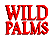 Wild Palms Wild Palms