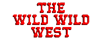 The Wild Wild West
